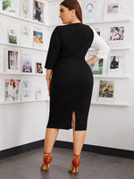 Plus Buttoned Split Back Colorblock Dress