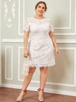 Plus Size Dresses Suppliers