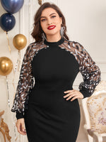 Plus Size Dresses Producer