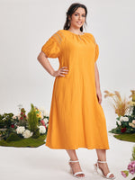 Plus Size Dresses Producer