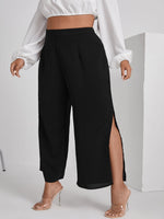 Plus Size Pants Producer