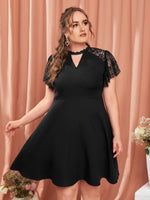 Plus Size Dresses Producer