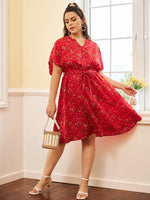 Plus Size Dresses Producers