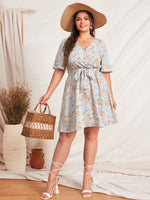 Plus Size Dresses Producer