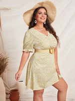 Plus Size Dresses Producer