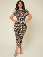 Plus Size Dresses Wholesaler