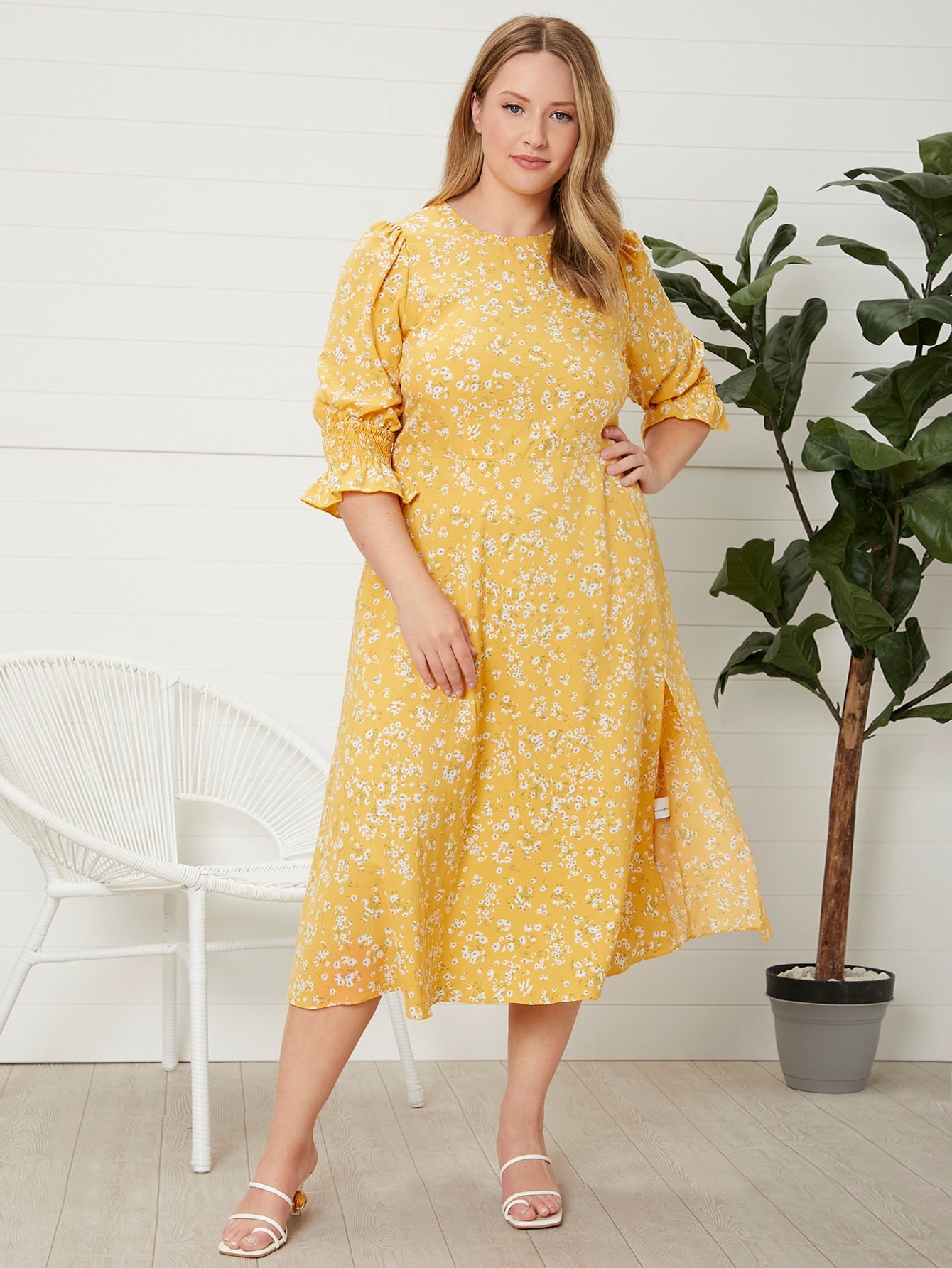 Plus Size Dresses Supplier