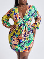 Plus Size Dresses Producer