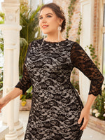 Plus Size Dresses Producer