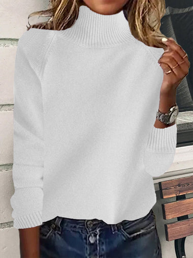 Loose Long Sleeve Turtleneck Plain Casual Regular Sweater