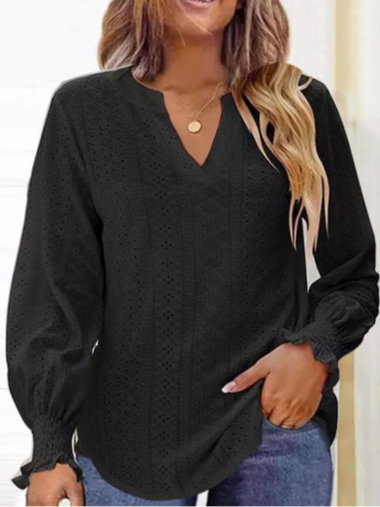 Long Sleeve V Neck Plain Casual Regular Blouse