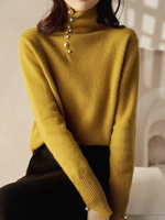 Casual Long Sleeve Turtleneck Plain Loose Regular Sweater