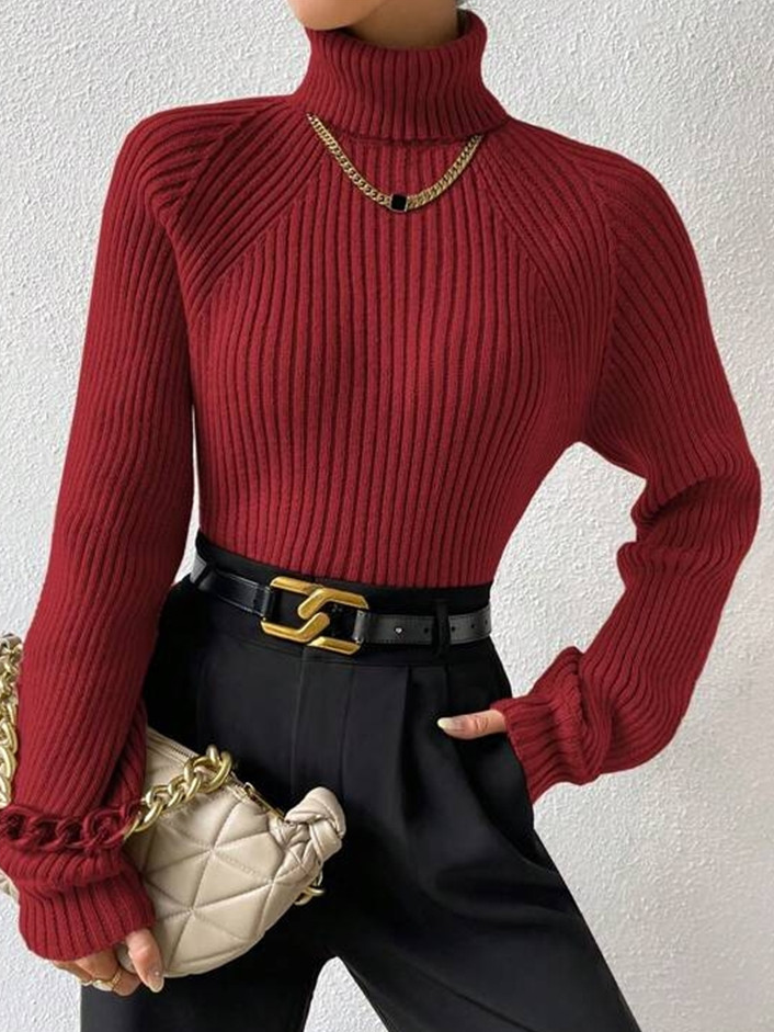 Casual Long Sleeve Turtleneck Plain Loose Regular Sweater