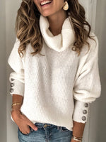 Loose Long Sleeve Turtleneck Plain Casual Regular Sweater