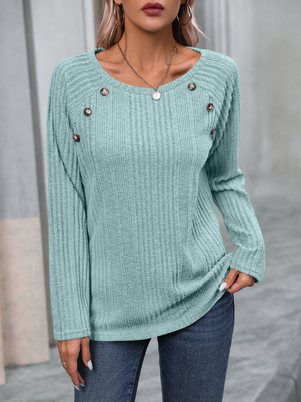 Loose Long Sleeve Crew Neck Plain Casual Regular Blouse