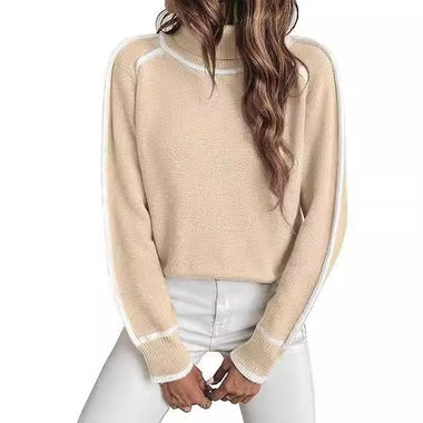 Casual Long Sleeve Turtleneck Plain Loose Regular Sweater