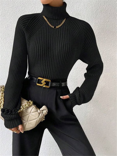 Casual Long Sleeve Turtleneck Plain Loose Regular Sweater