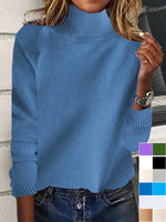 Loose Long Sleeve Turtleneck Plain Casual Regular Sweater