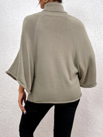 Solid Raglan Sleeve Turtle Neck Sweater